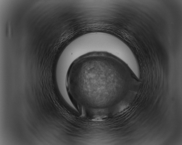 X0000052640551200507160159