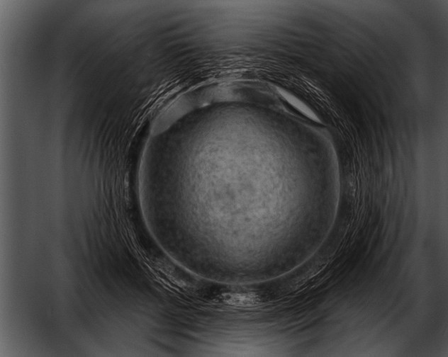 X0000052640552200507160159