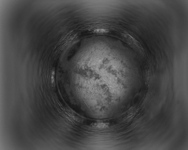 X0000052640553200507160159