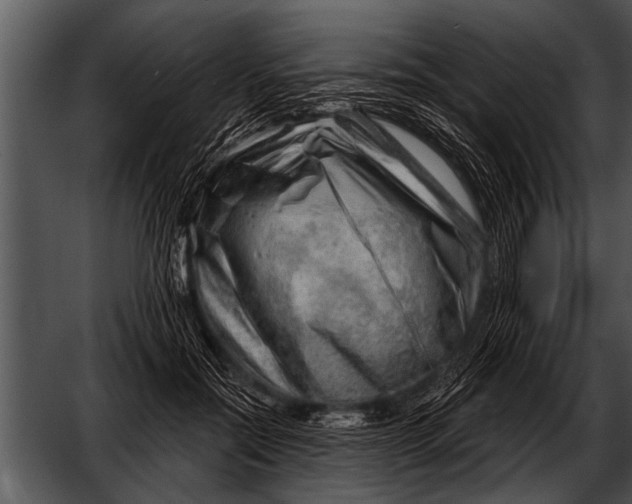 X0000052640554200507160159