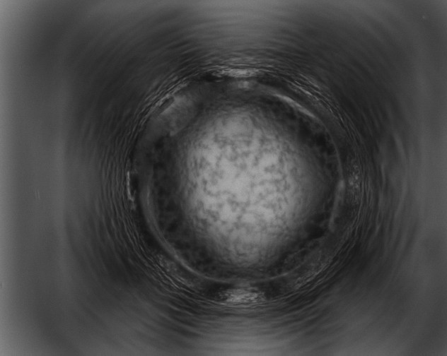 X0000052640555200507160159