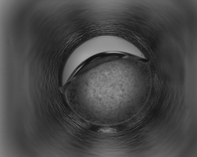 X0000052640557200507160159