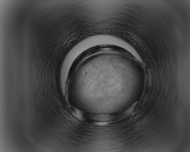 X0000052640558200507160200