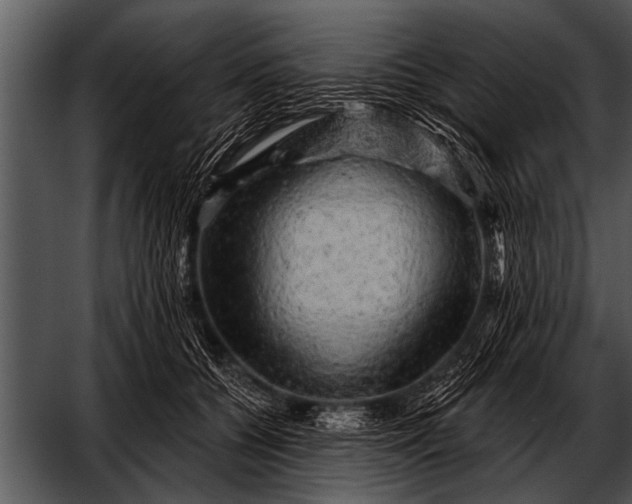 X0000052640560200507160200