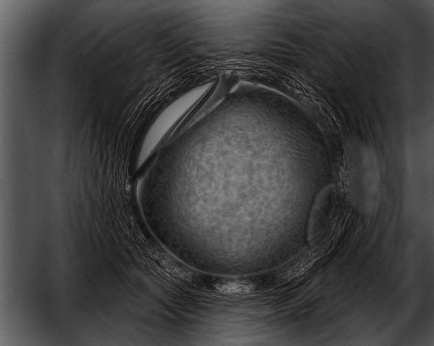 X0000052640561200507160200