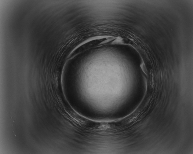 X0000052640562200507160200