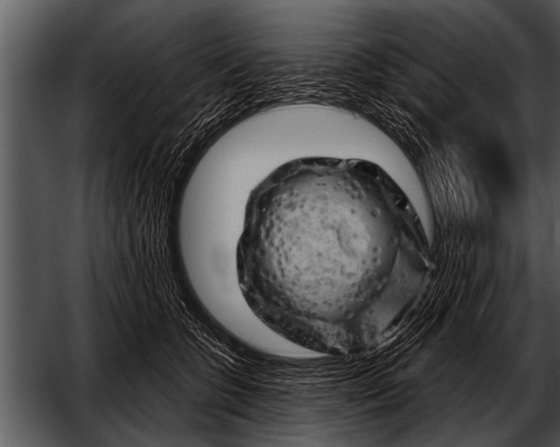 X0000052640563200507160200