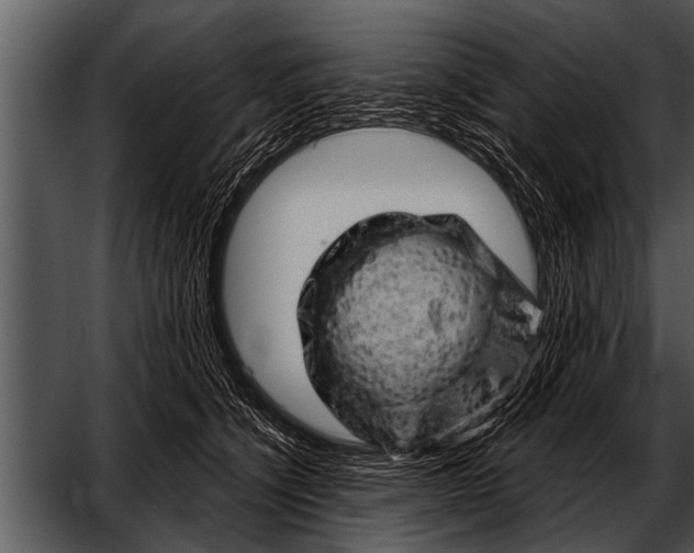 X0000052640564200507160200