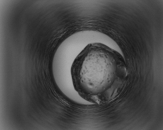 X0000052640566200507160200