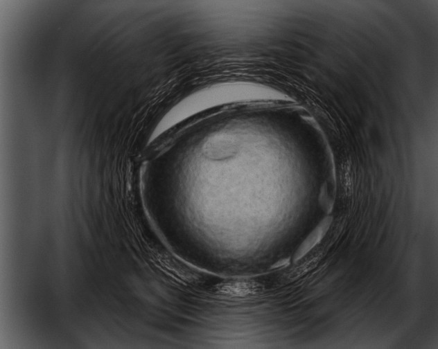 X0000052640567200507160200