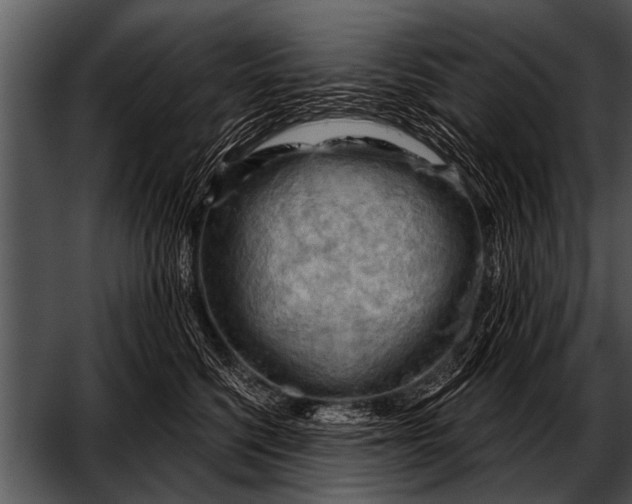 X0000052640568200507160200