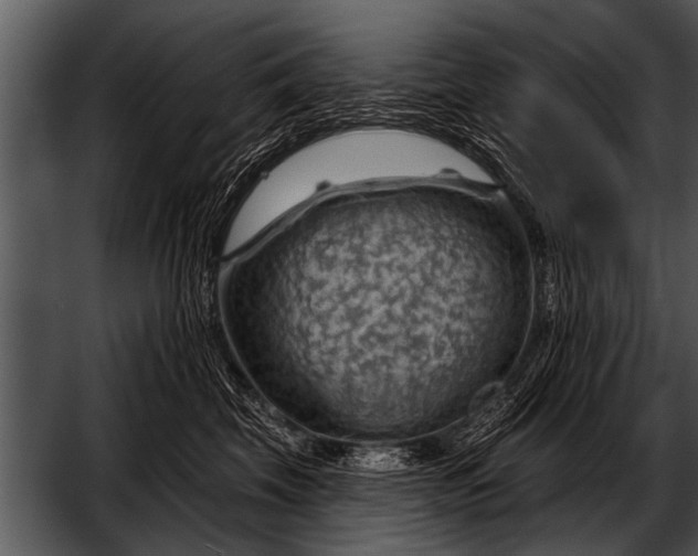 X0000052640569200507160200