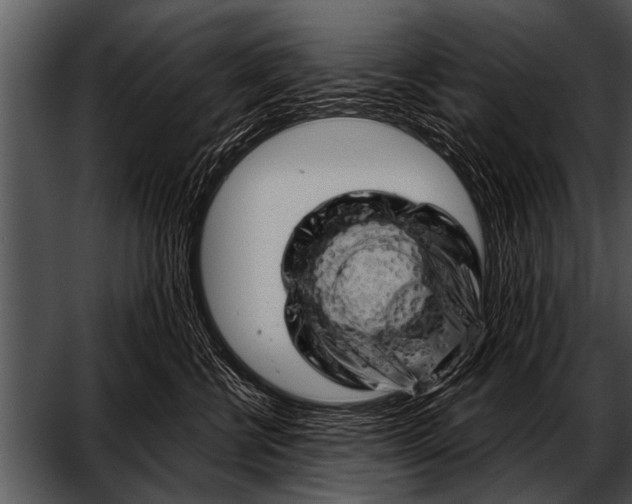 X0000052640570200507160200