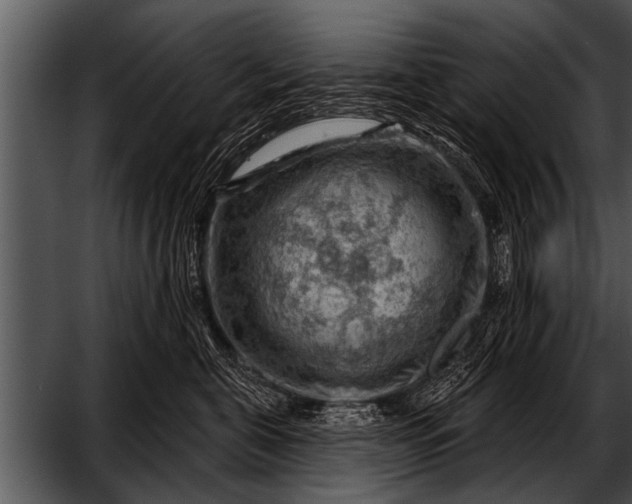 X0000052640571200507160200