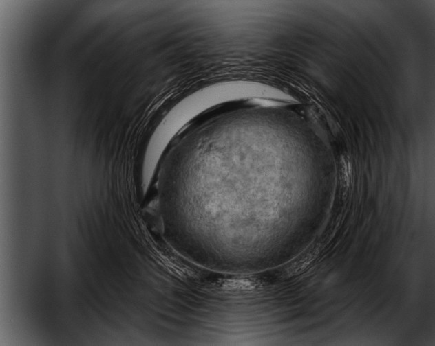 X0000052640572200507160200