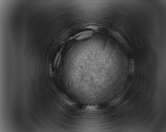 X0000052640573200507160200