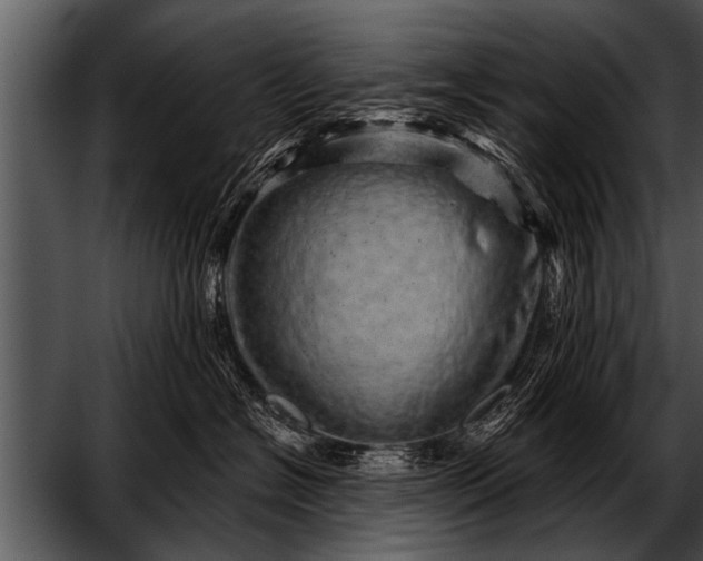 X0000052640574200507160200