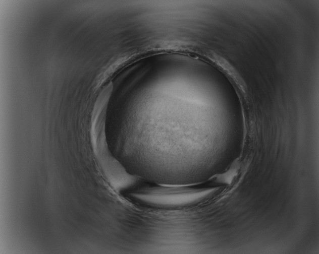 X0000052640577200507160159