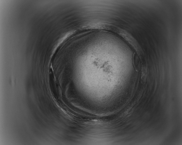 X0000052640578200507160159