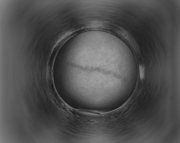 X0000052640579200507160159