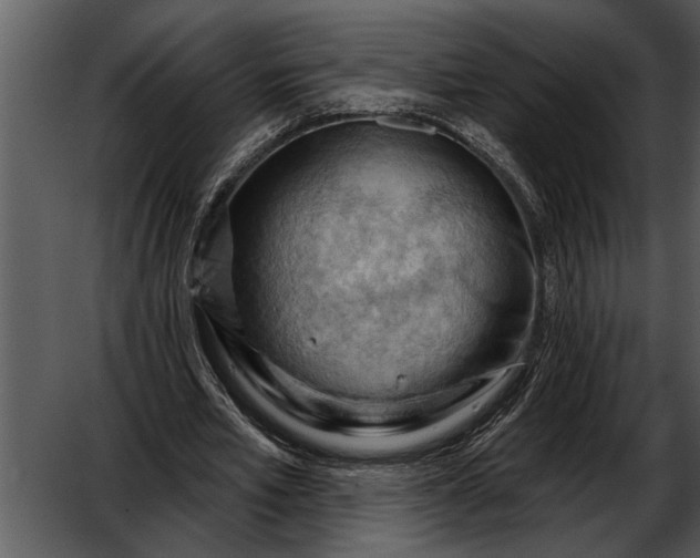 X0000052640581200507160159