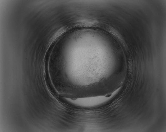 X0000052640582200507160159