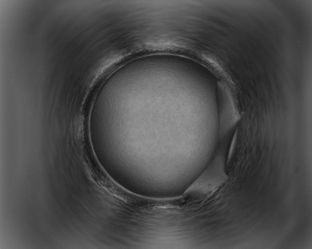 X0000052640583200507160159