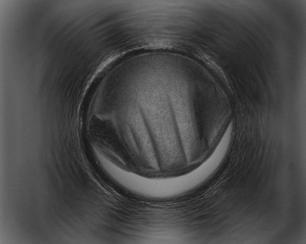 X0000052640584200507160159