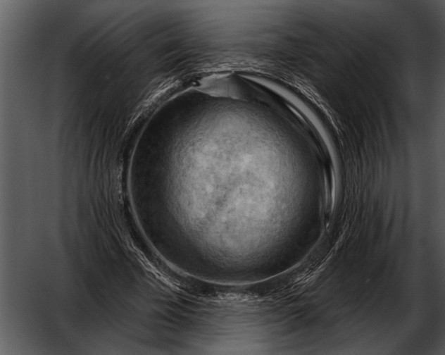 X0000052640585200507160159