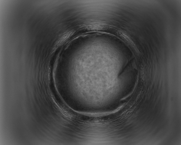 X0000052640586200507160159