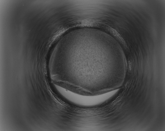 X0000052640588200507160159