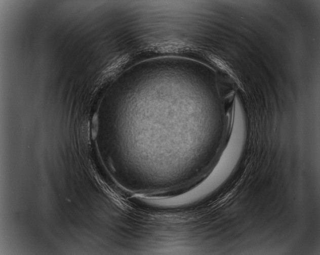 X0000052640589200507160159