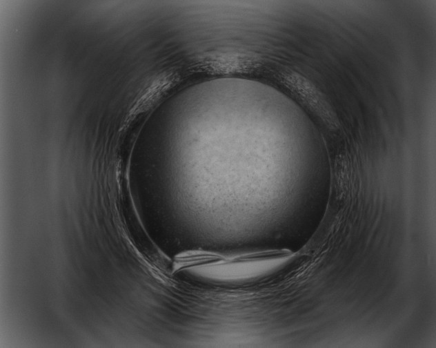 X0000052640590200507160159