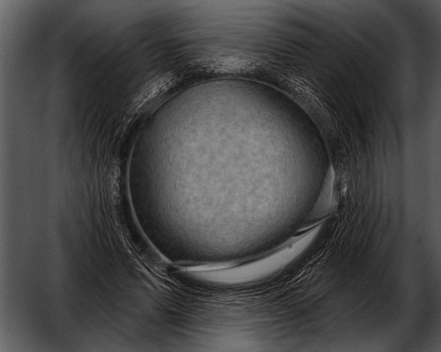 X0000052640591200507160159