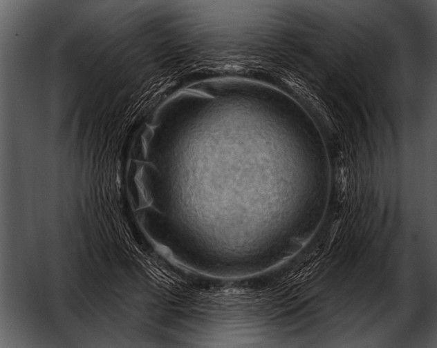 X0000052640593200507160159