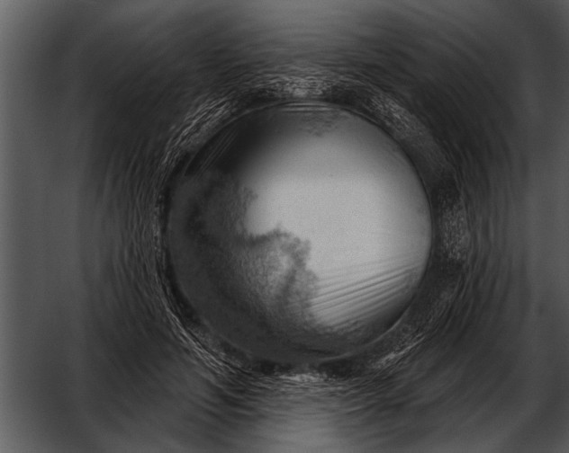 X0000052640594200507160159