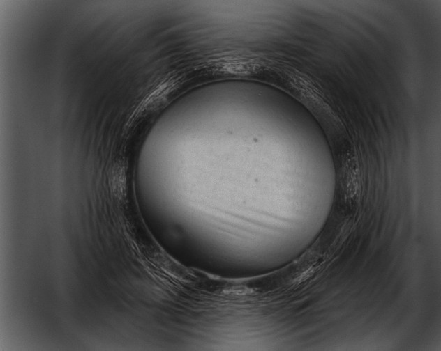 X0000052640595200507160159