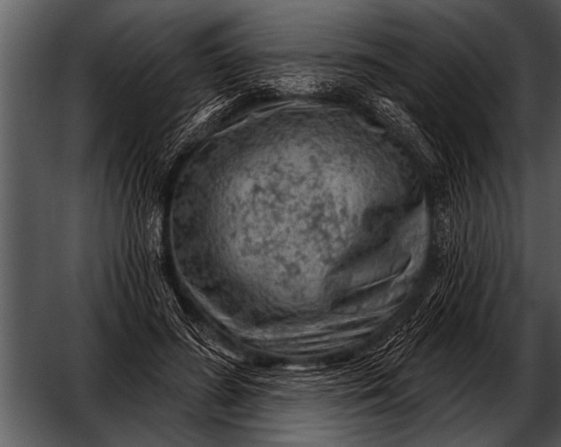 X0000052640596200507160159