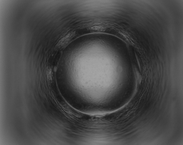 X0000052640597200507160159