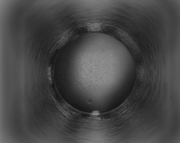 X0000052640598200507160159