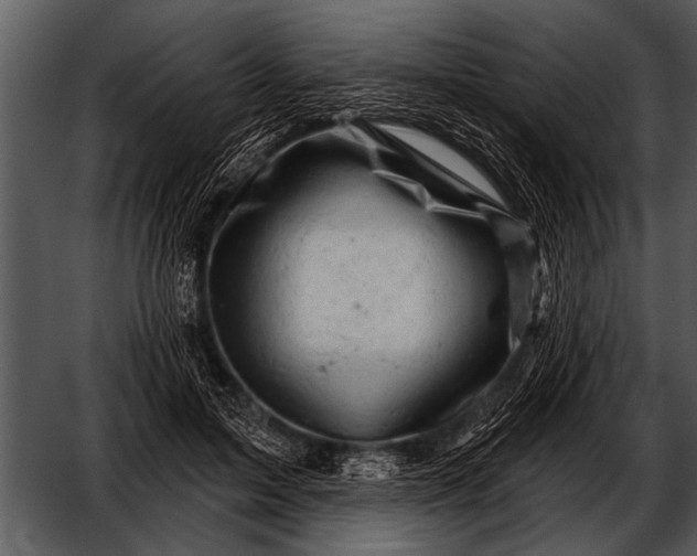 X0000052640599200507160159