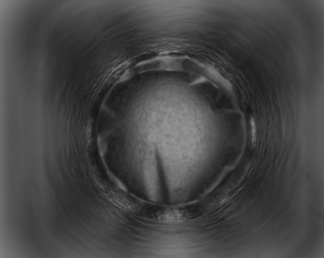 X0000052640600200507160159