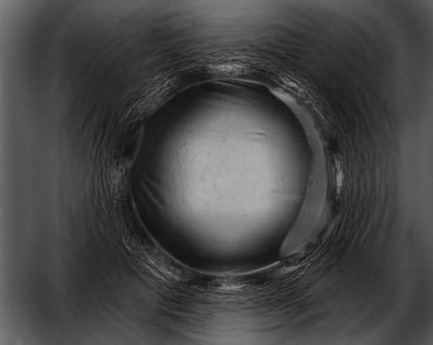 X0000052640601200507160159