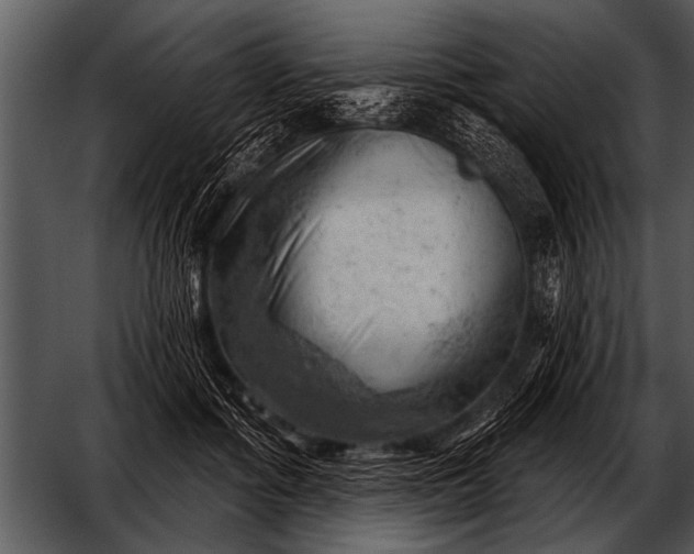 X0000052640602200507160159