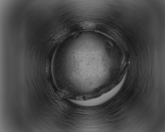 X0000052640604200507160159