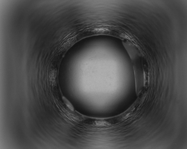 X0000052640605200507160159