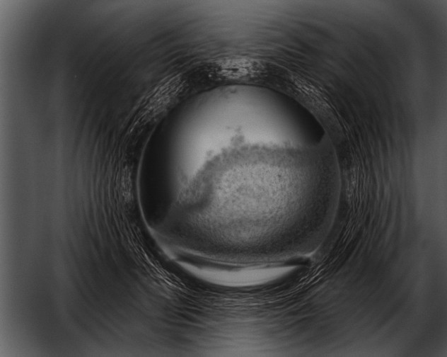 X0000052640606200507160159