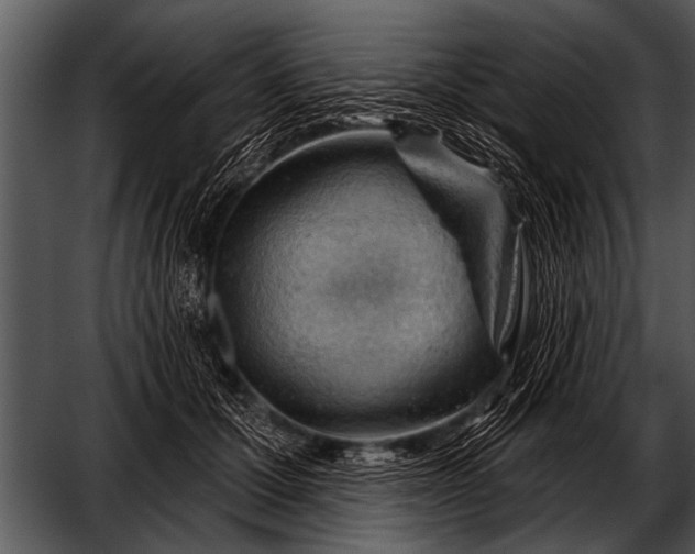 X0000052640607200507160158