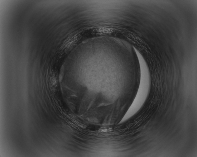 X0000052640608200507160158