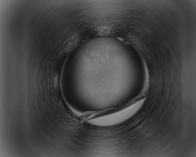 X0000052640610200507160158